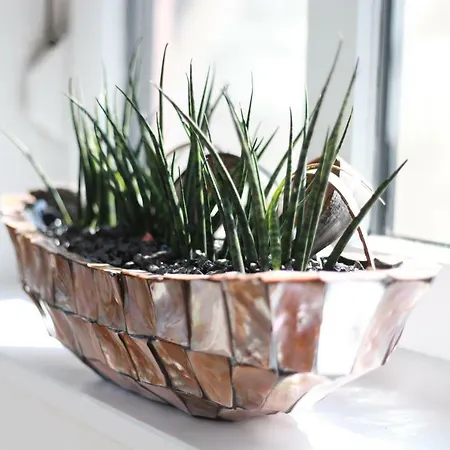 Appartement Ries Eusserthal