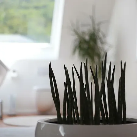 Apartment Ries Eusserthal