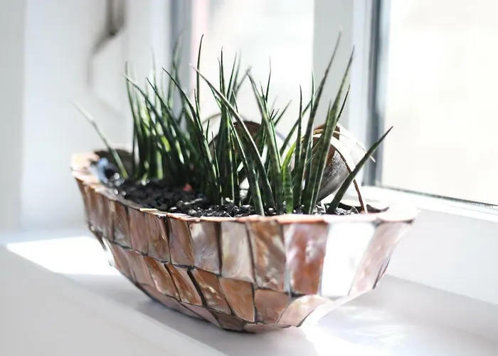 아파트 Ries Eusserthal