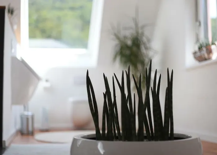 Apartment Ries Eusserthal